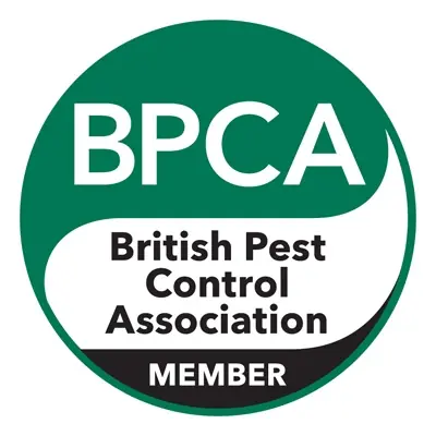 PCG Pest Control Glasgow – Fast, Reliable Pest Solutions